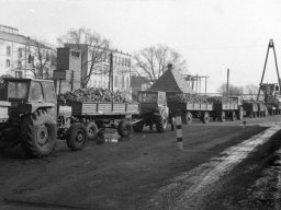 Kampania cukrownicza 1984 rok